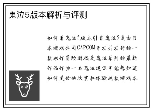 鬼泣5版本解析与评测